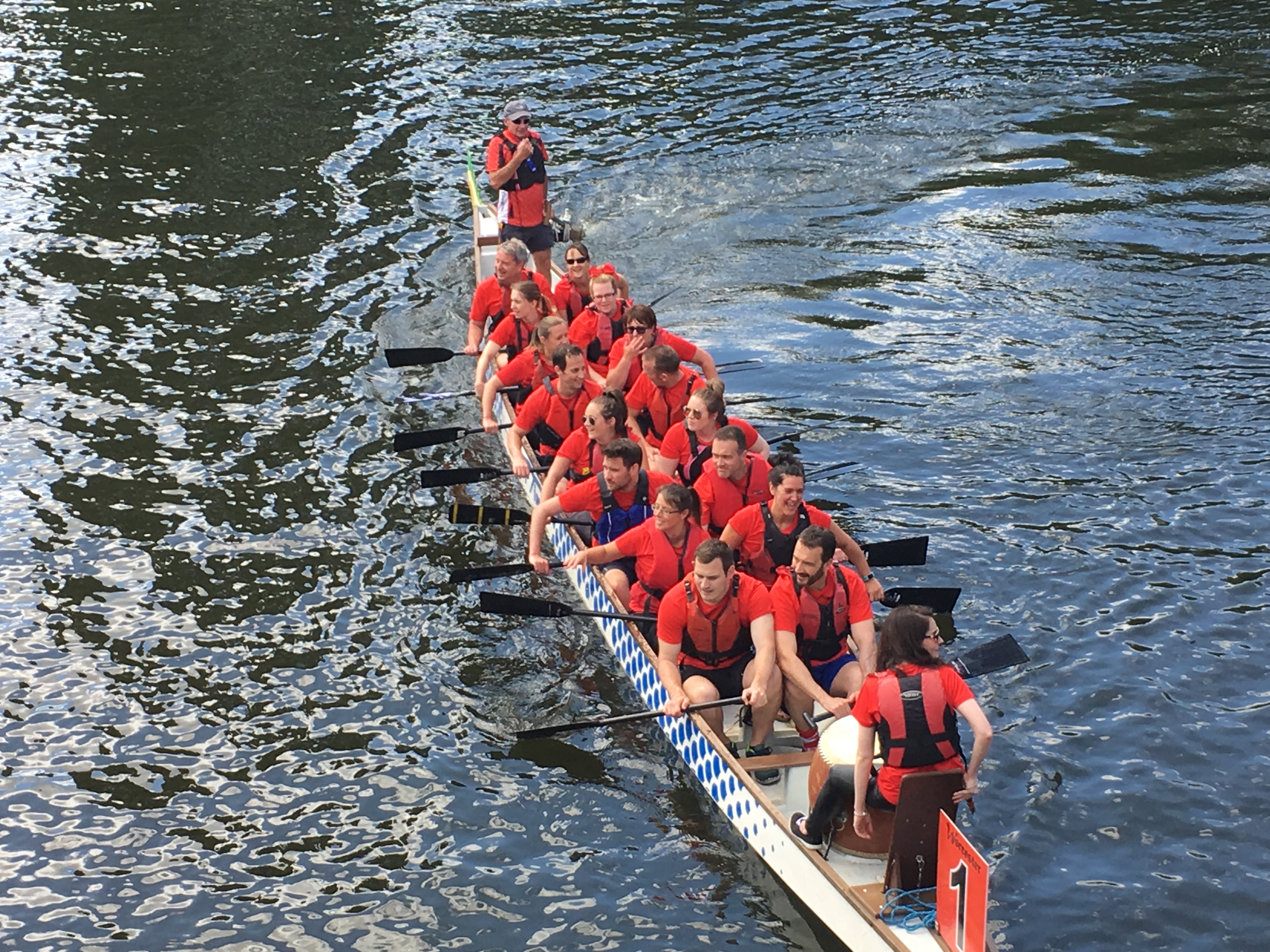 Dragon Boat Racing The Oars of Spontex